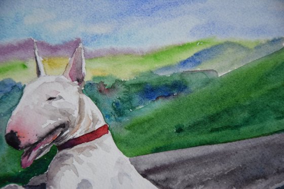 Bull Terrier watercolor painting, dog portrait, animalistic wall art