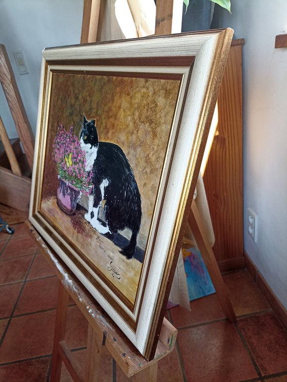 cat, flowers and butterfly