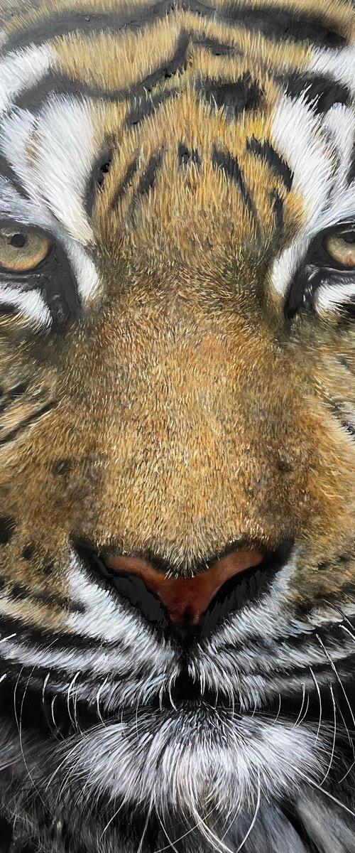Through the Eyes of the Wild by Maria Arias