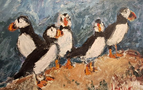 Family of Puffins