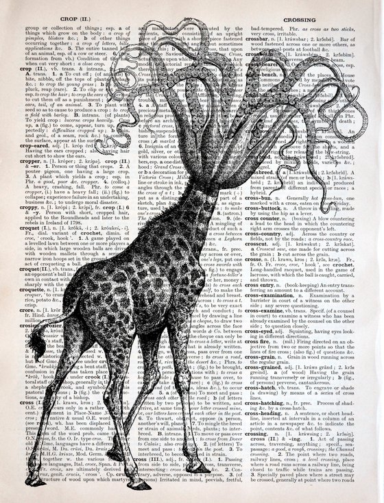 Octopus Giraffe - Collage Art Print on Large Real English Dictionary Vintage Book Page