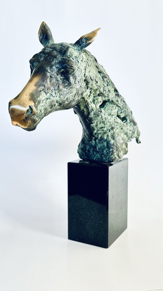 The Noble Hoof, no.V/VIII