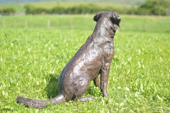 Golden Retriever Bronze Resin