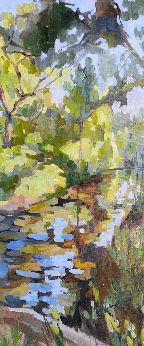 Beverley Brook, Wimbledon Common by Katharine Rowe