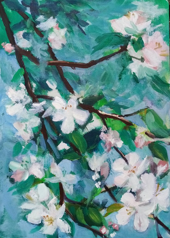 Apple-tree blooming time of hopes