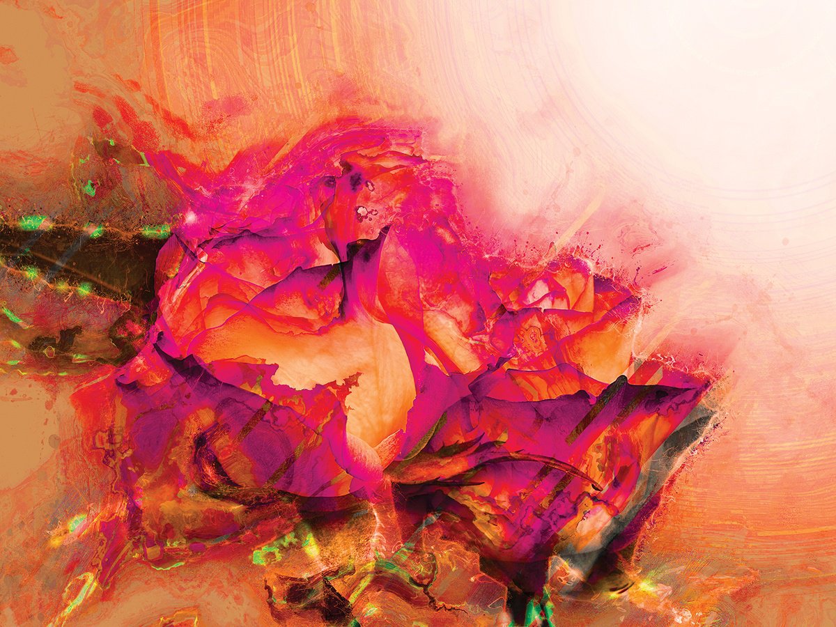 Abstract Botanical Print By Javier Diaz, 80 X 60, Delirios Xviii, Original Artwork