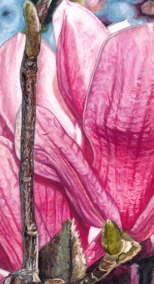 Original Magnolia Painting | Magnolias in Astoria | Soft Pastel Drawing | Pink Flower Home Decor by Melissa Tobia
