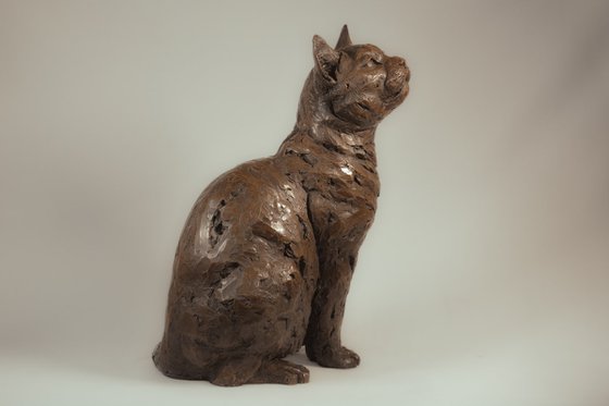 Sitting Cat BR