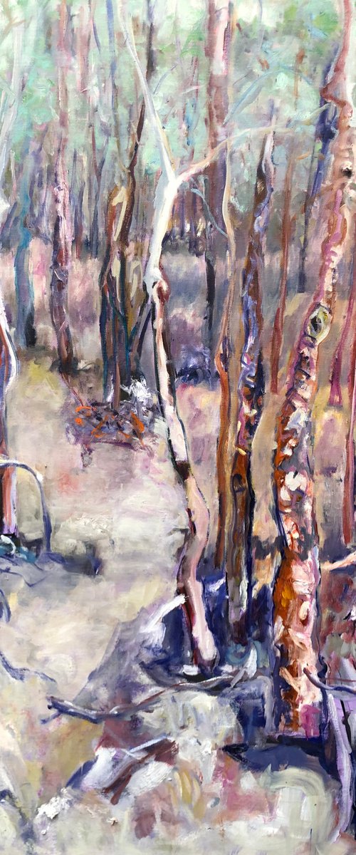TREES ON KANGAROO ISLAND by Maureen Finck