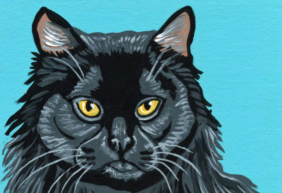 Persian Black Cat by Carla Smale