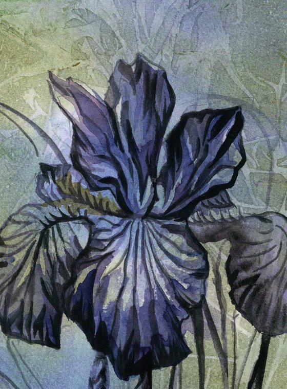 iris with blues watercolor floral