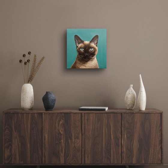 Elegant Siamese Cat