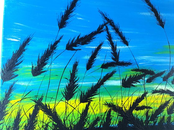 Sunrise in the grass