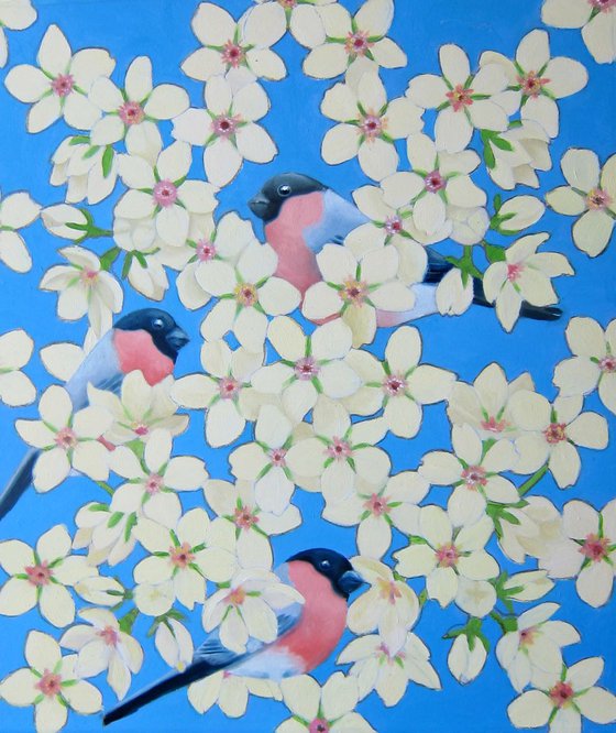 Cherry blossom and bullfinches
