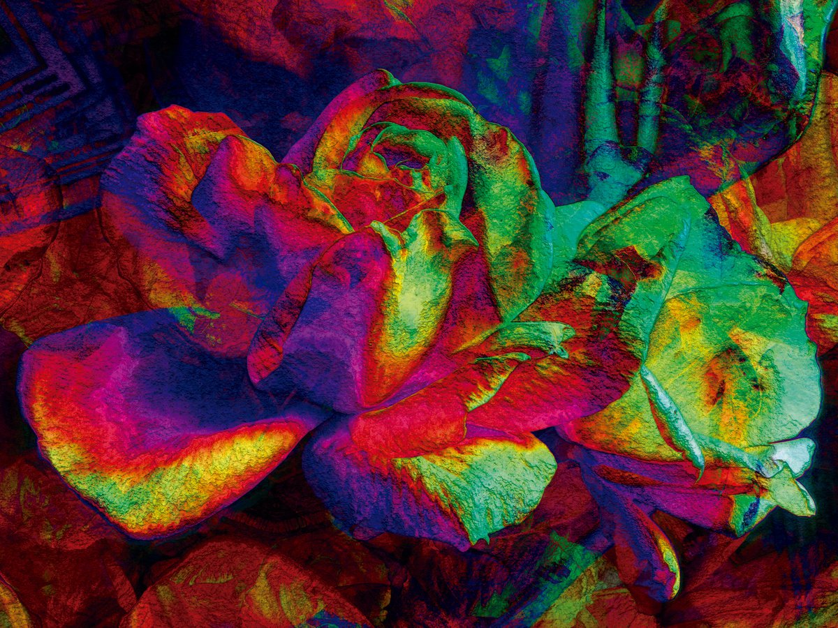 Abstract Botanical Print By Javier Diaz, 79 X 60, Petalos 2, Original Artwork