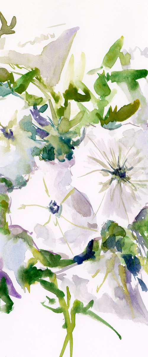 Petunia, white Flowers by Suren Nersisyan