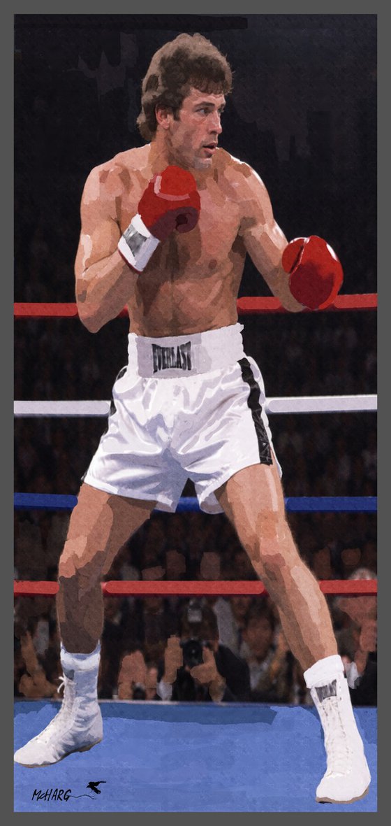 THE BOXER 2