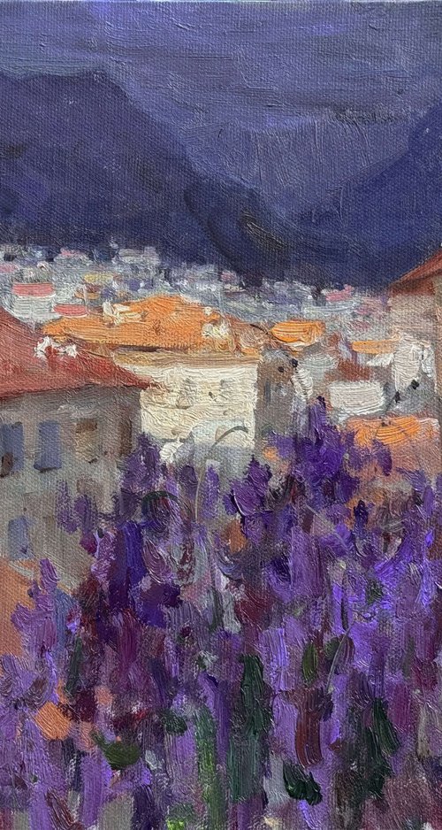 Evening Over Alanya by Nataliia Nosyk