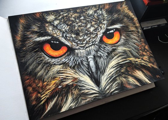 Eagle Owl IV (Original Pastel Painting)