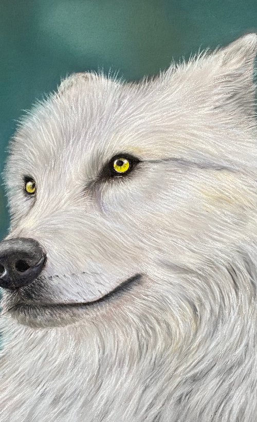 Wolf by Maxine Taylor