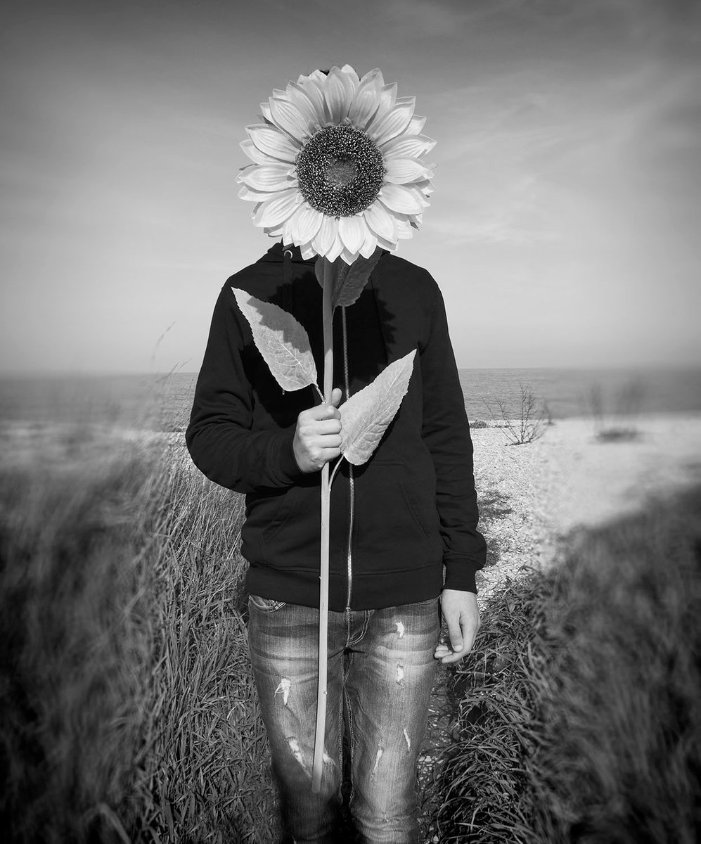 The Sunflower by Carmelita Iezzi