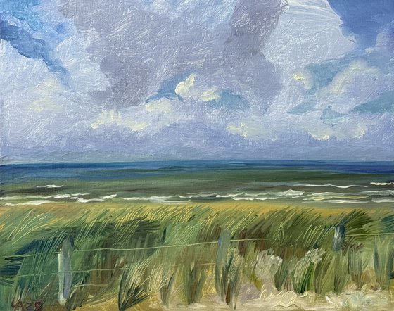 Coastal Wind