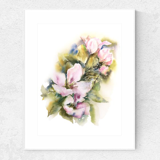 Spring apple blossom, small watercolor floral painting