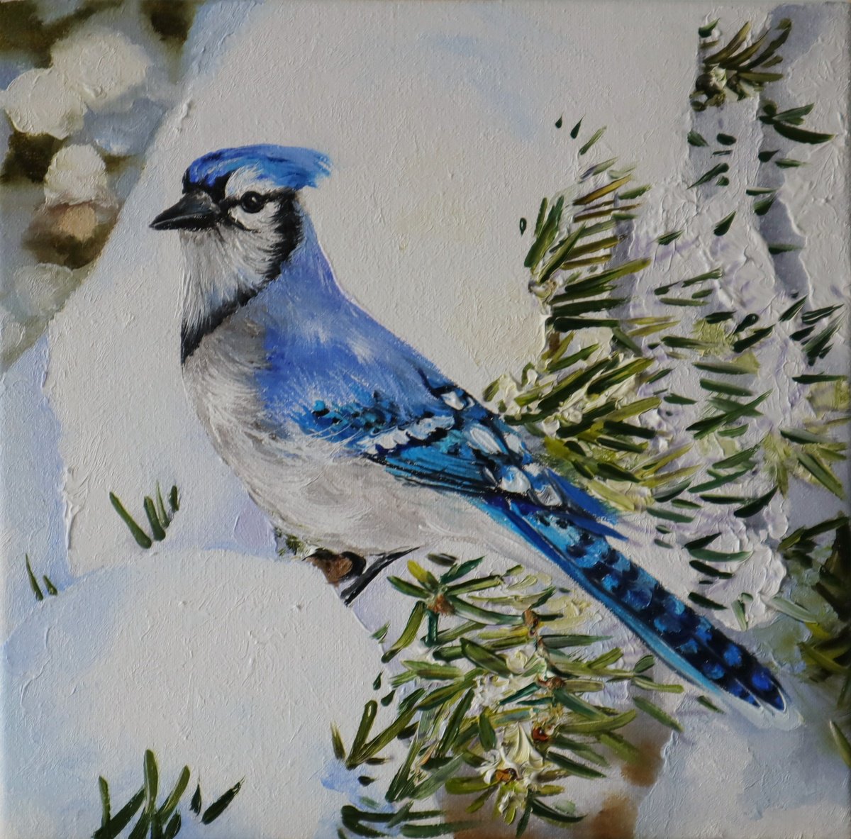 Photorealistic Animal Oil Painting By Natalia Shaykina, 8 X 8", Jay Bird, Original Artwork
