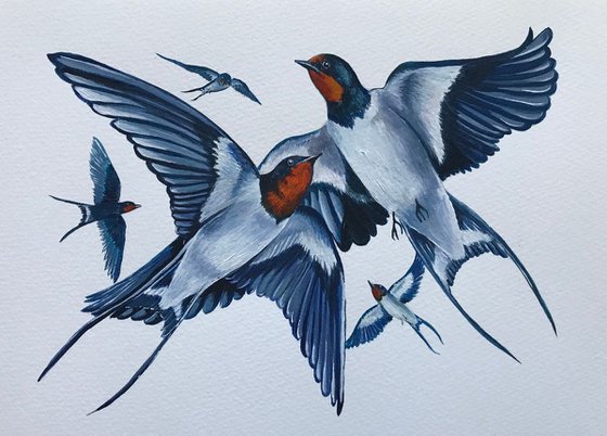 Swallow dance