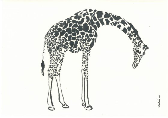 Giraffe I Animal Drawing