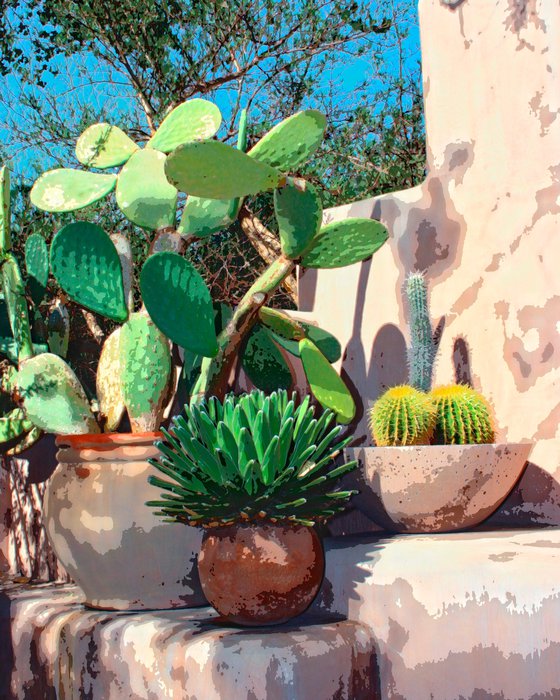 CACTUS CORNER Desert Hot Springs CA