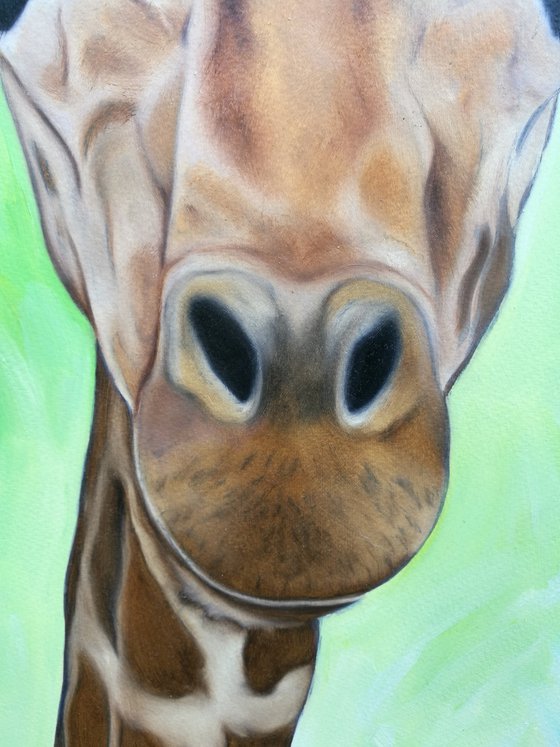 You've Got Some Neck. Giraffe Painting. Oil on Paper. 42cm x 59.4cm. Free Shipping