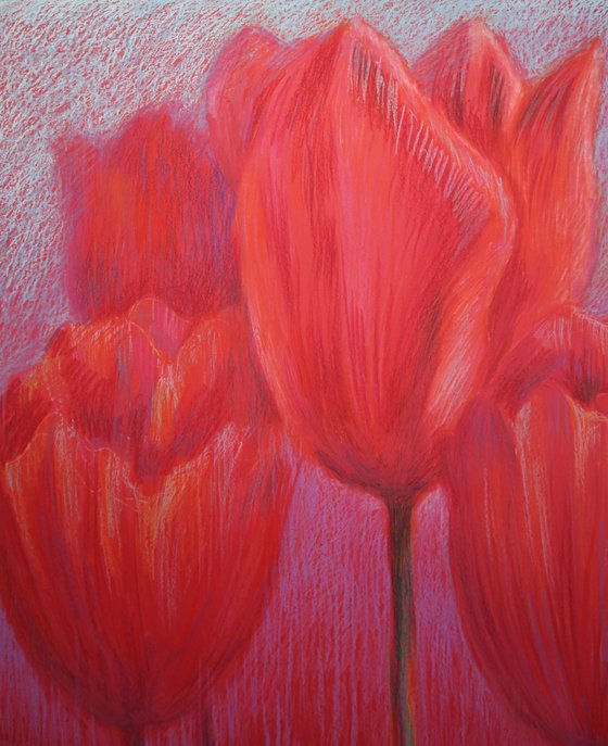 Red Tulips on Red