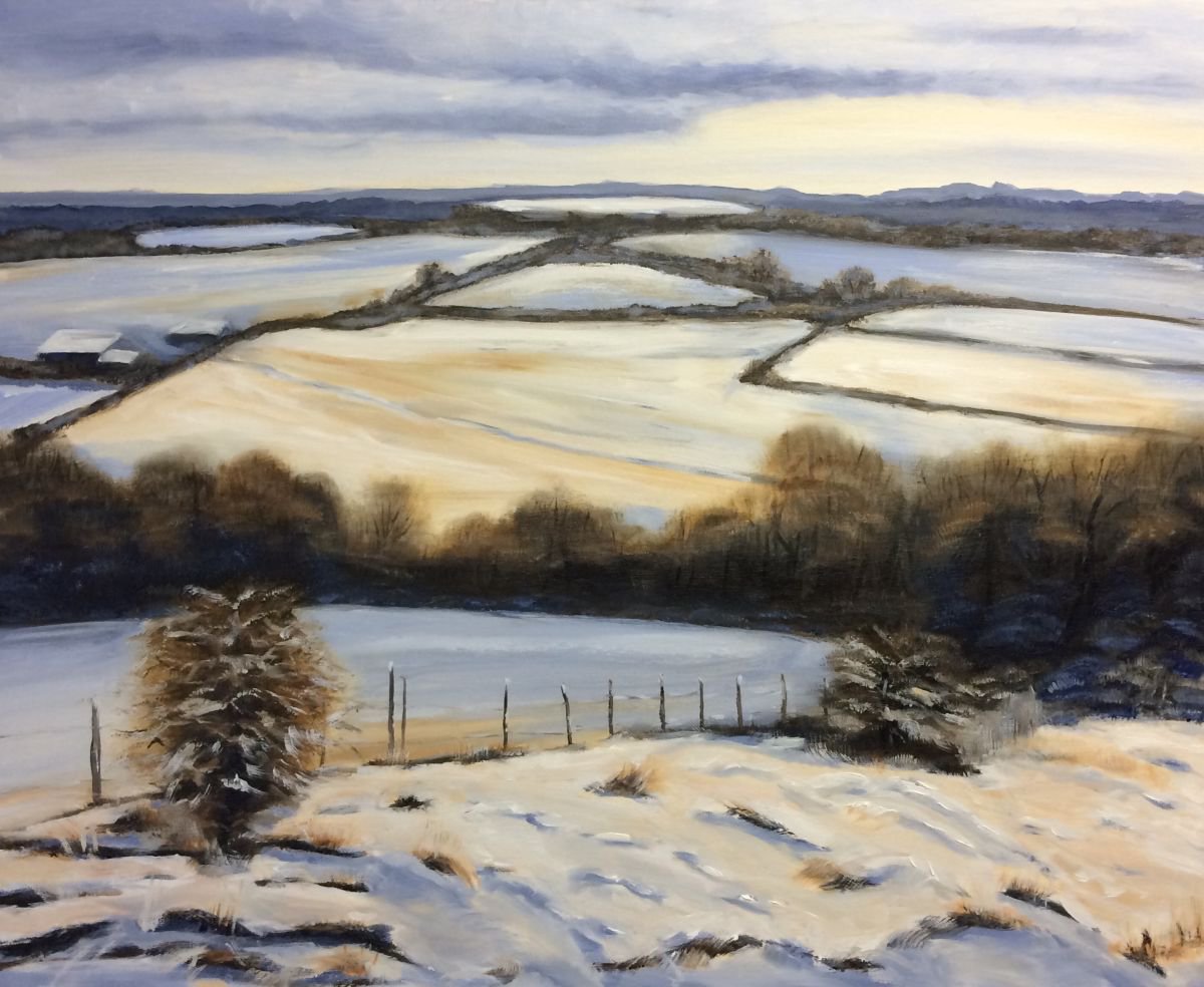 Morning snow Plumpton 1 by Cecilia Virlombier