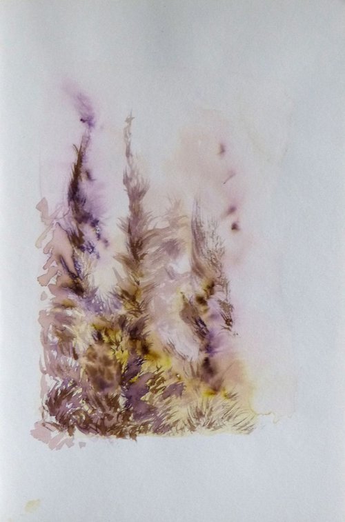 Pine Wood Study 4, 24x16 cm by Frederic Belaubre