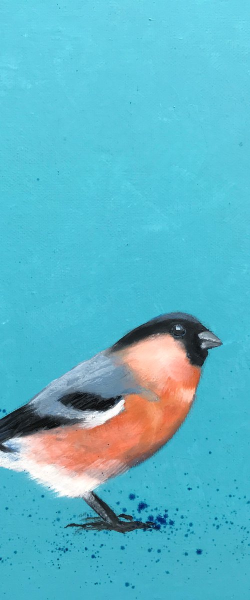 Bullfinch ~ on duck egg blue by Laure Bury