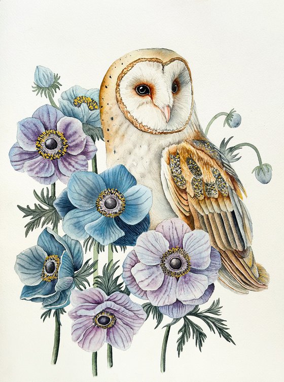 Barn Owl with Anemones