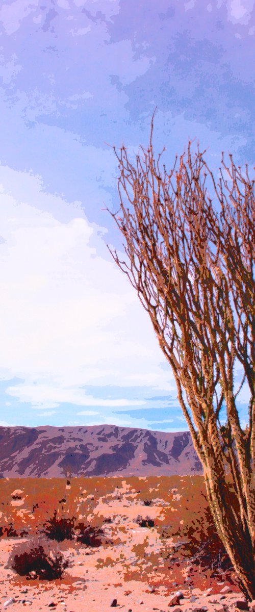 PARCHED DREAMS Joshua Tree National Park CA by William Dey