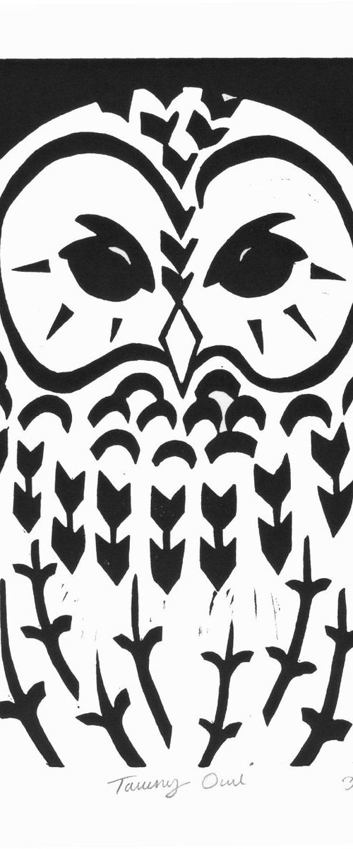 Tawny Owl b/w (edition of 30) by Catherine Cronin