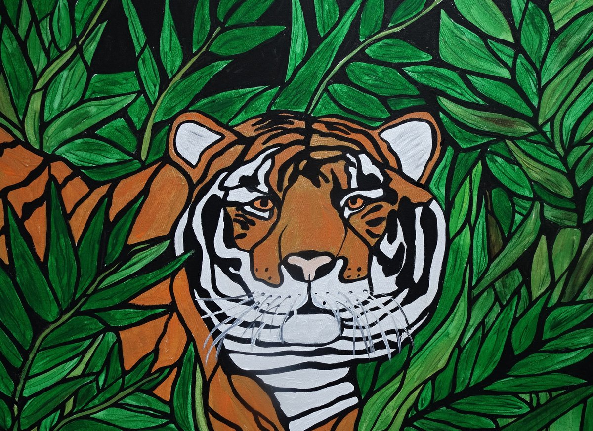 Tiger in the grass by Rachel Olynuk