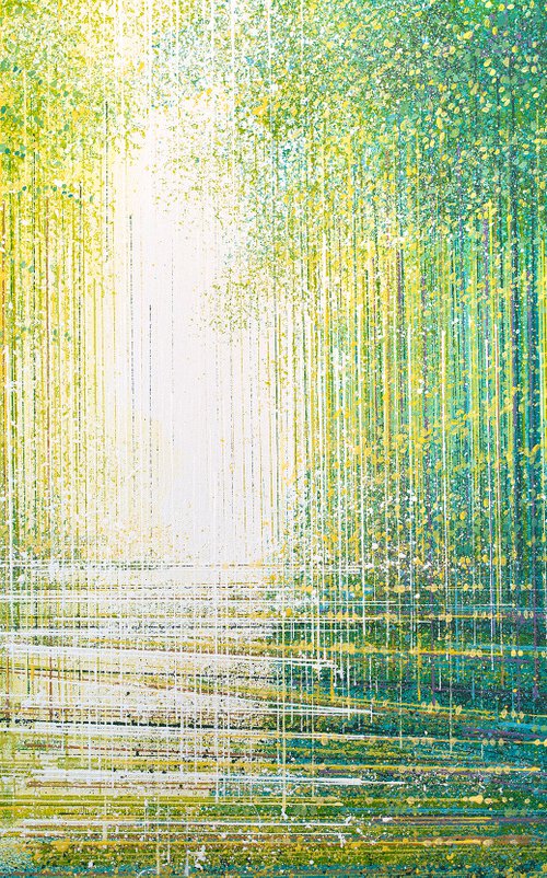 Bright Light In A Spring Forest by Marc Todd