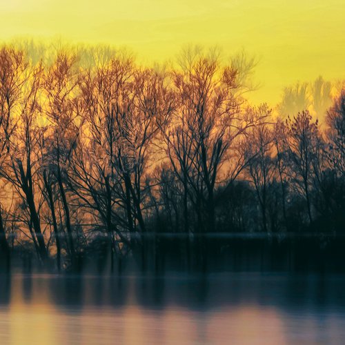 End Of Winter Abstract Limited Edition Trees and Lake Landscape Print #1/10 by Graham Briggs