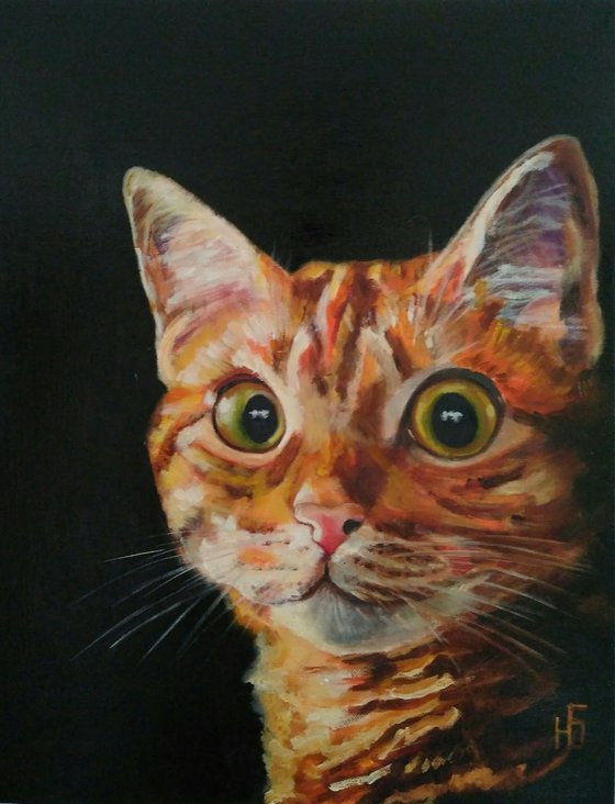 Red cat, 35x45 cm, ready to hang.