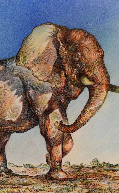 Bull Elephant by Austen Pinkerton
