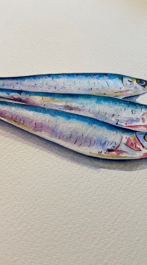 Sardines painting by Bethany Taylor