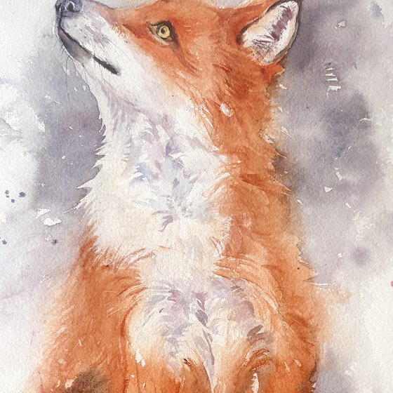 Red Fox Flora