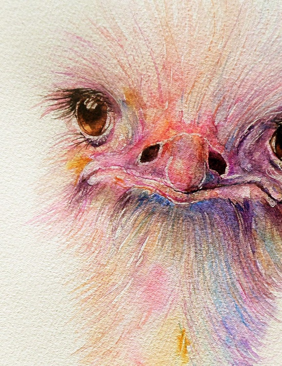 Ozzy the Ostrich Watercolour by Arti Chauhan | Artfinder