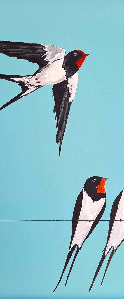 Summer Swallows by Monica Green