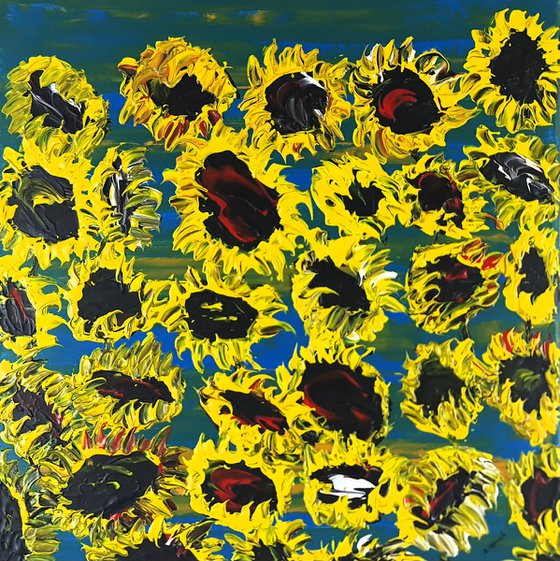 Blooming sunflowers 4
