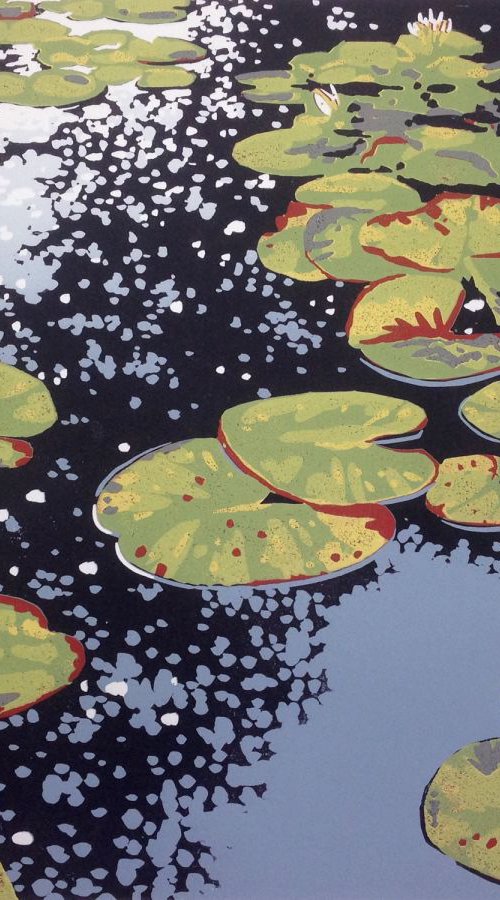 Lily Pond Reflections by Alexandra Buckle